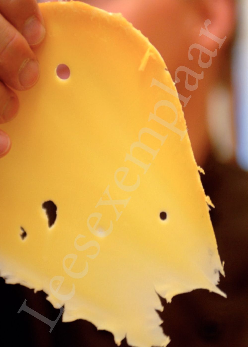 Preview: 500 favoriete kazen