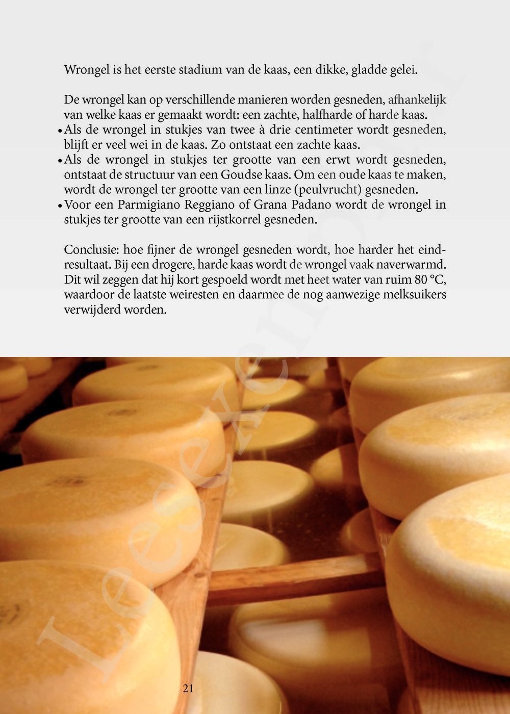 Preview: 500 favoriete kazen