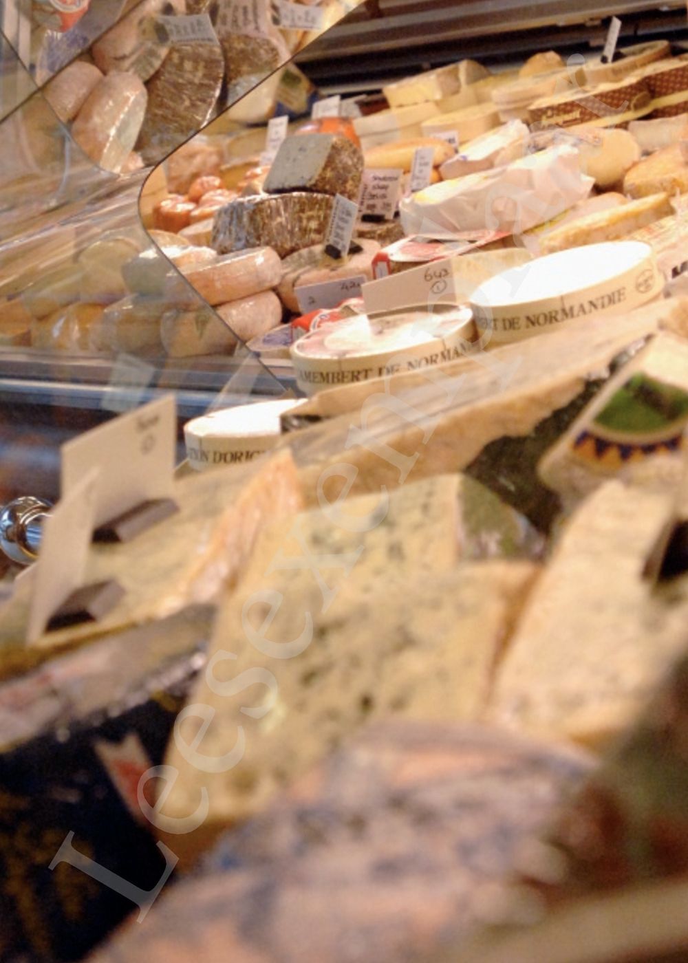 Preview: 500 favoriete kazen