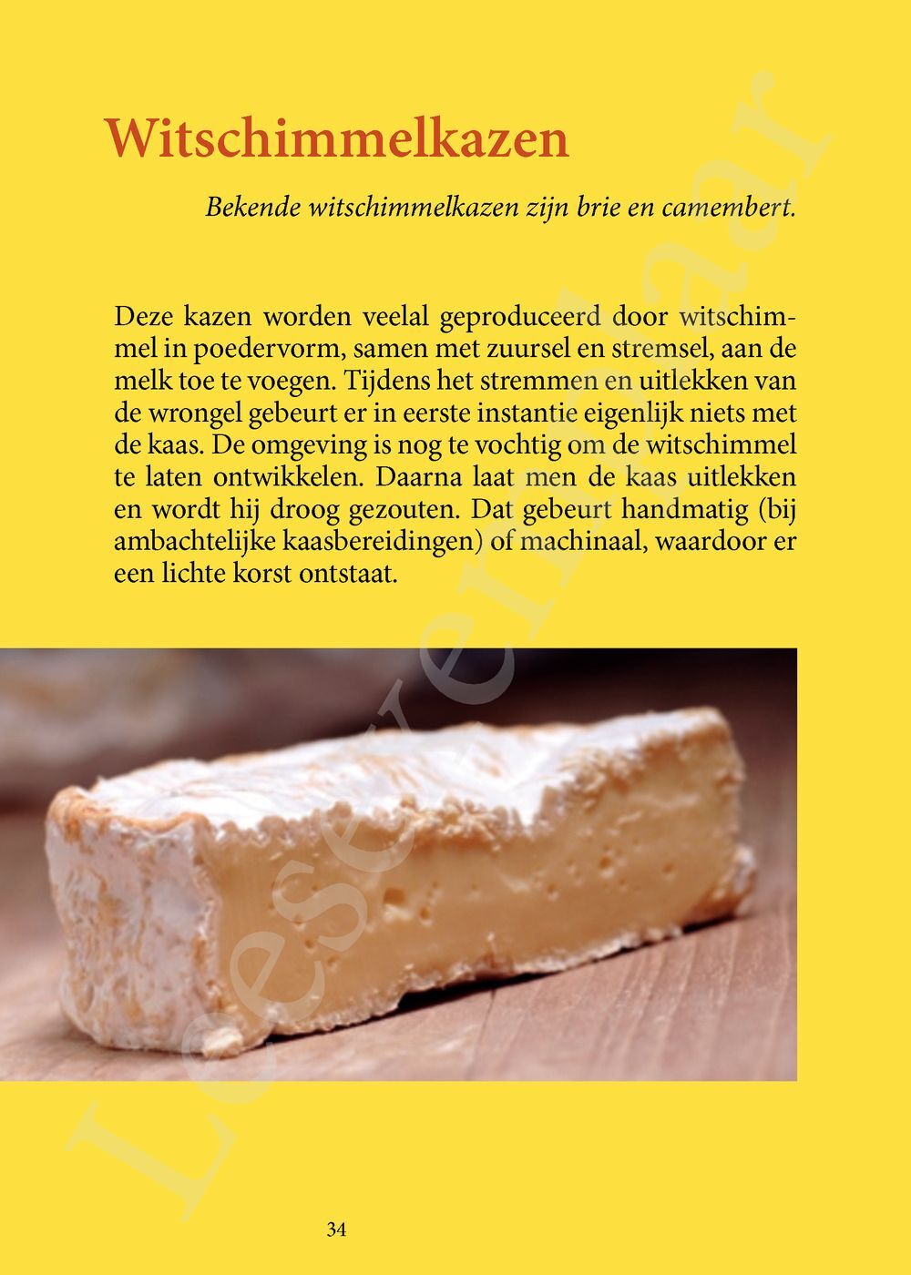 Preview: 500 favoriete kazen