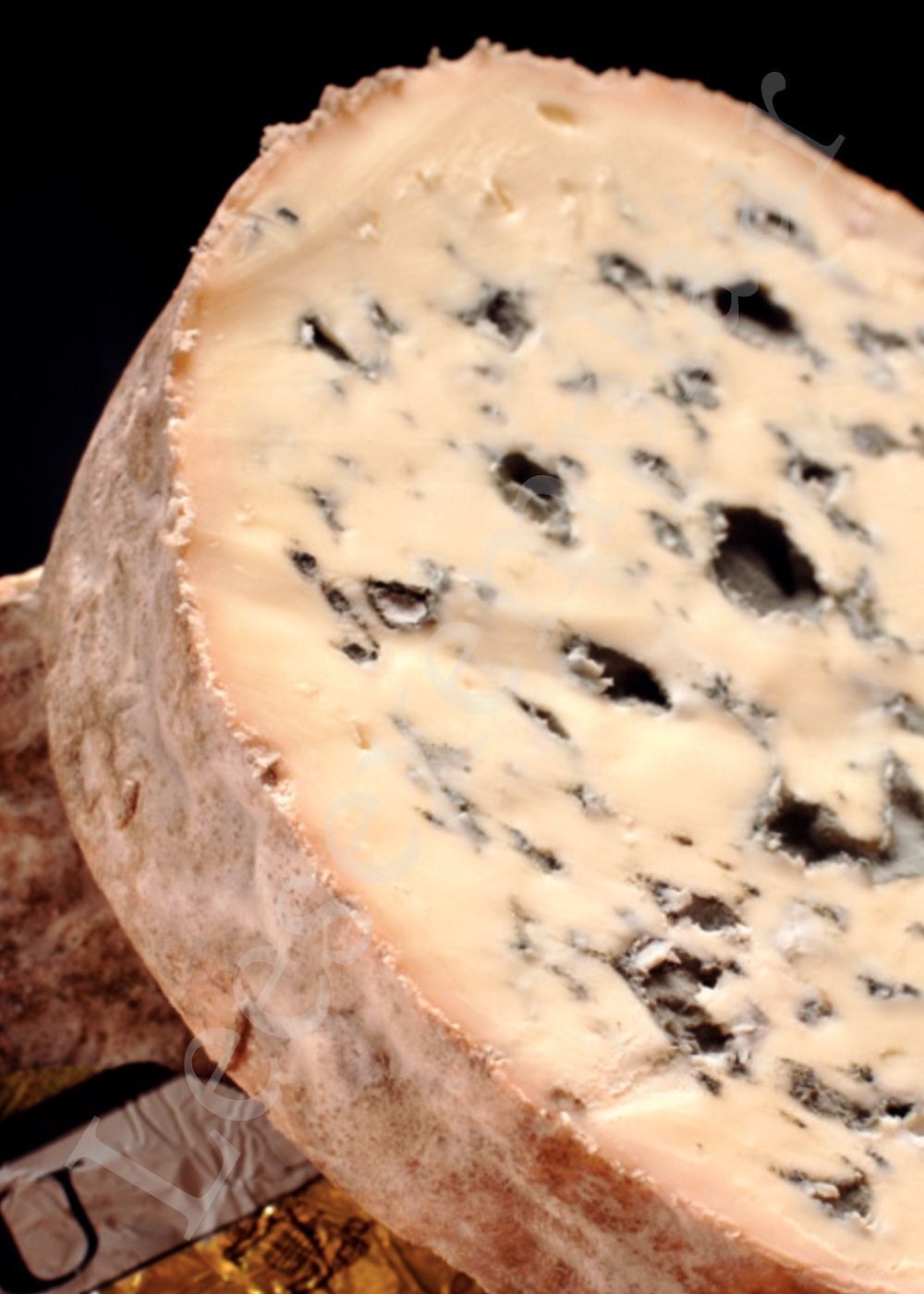 Preview: 500 favoriete kazen