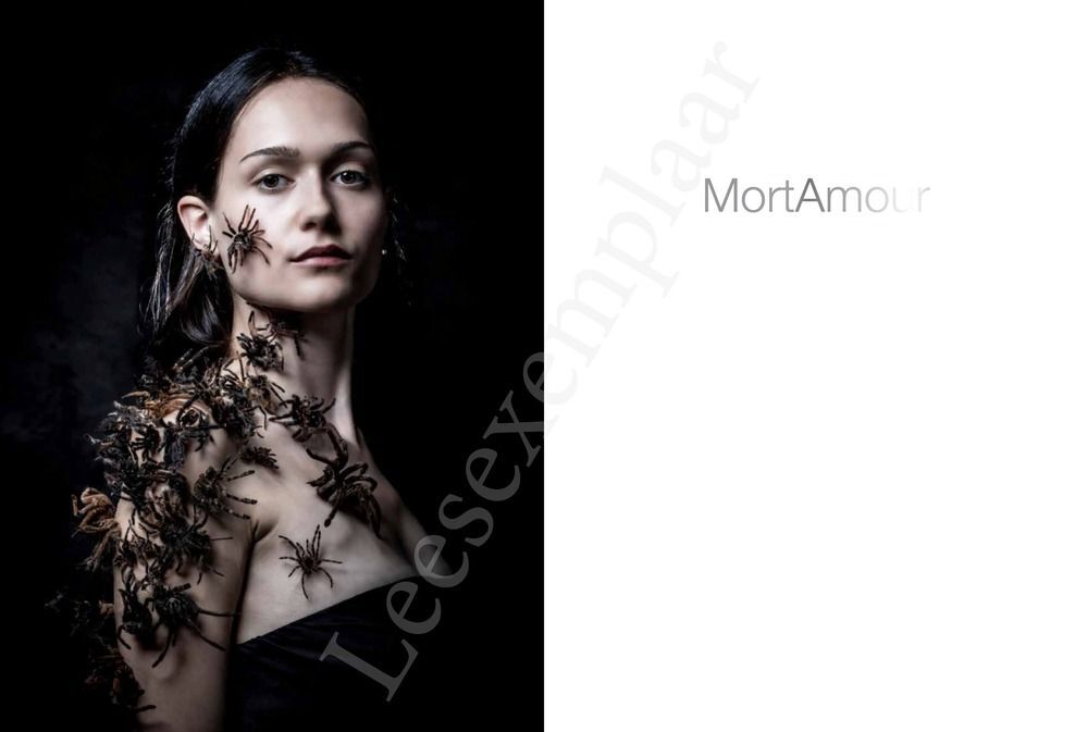 Preview: MortAmour