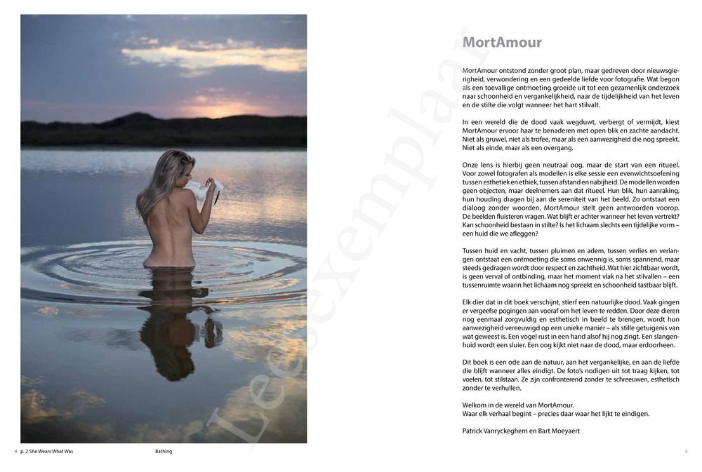 Preview: MortAmour