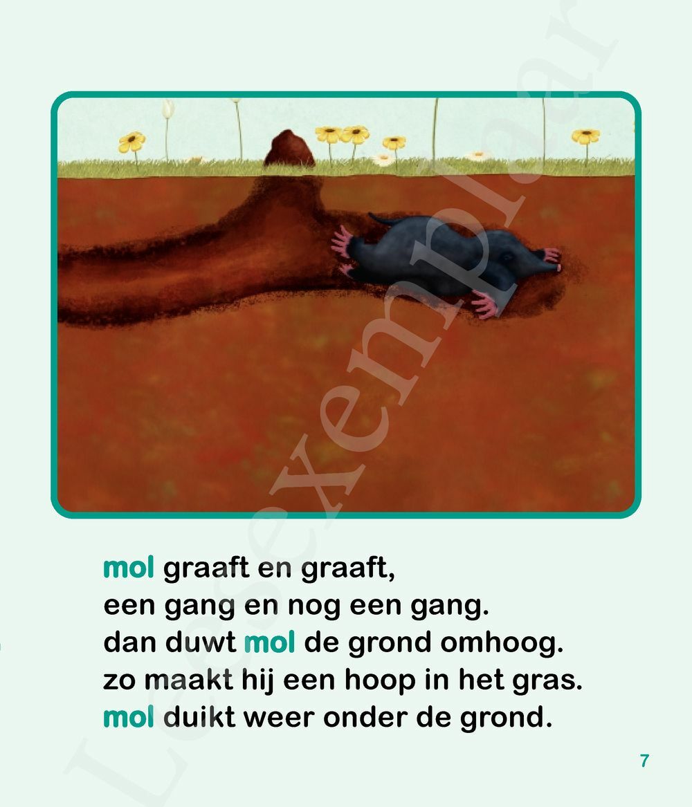 Preview: Mol in de put