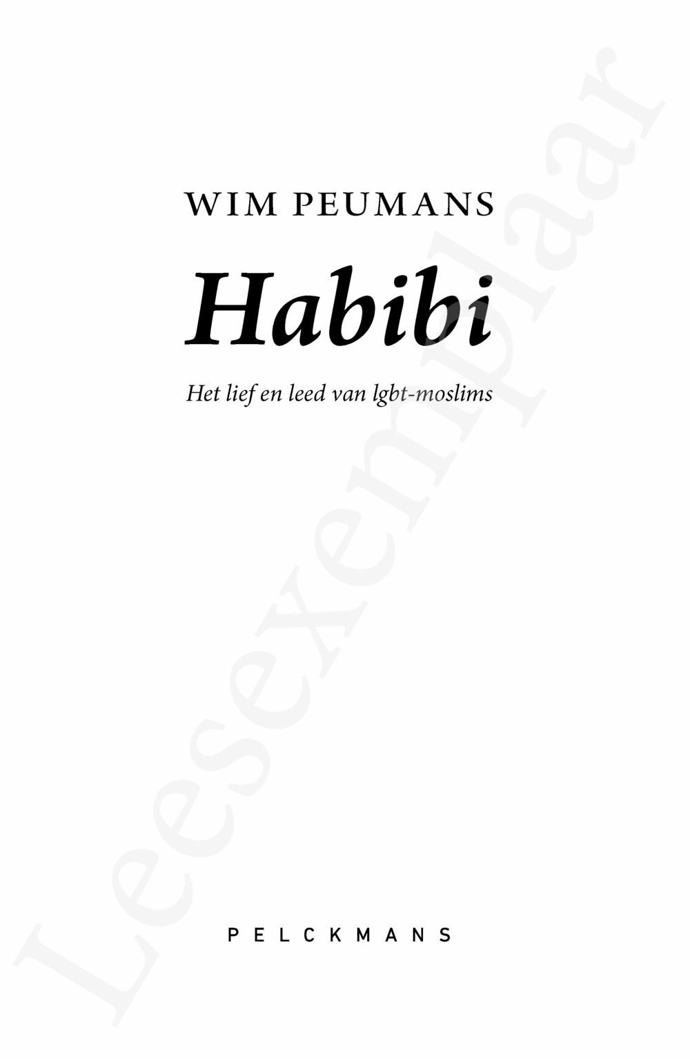 Preview: Habibi