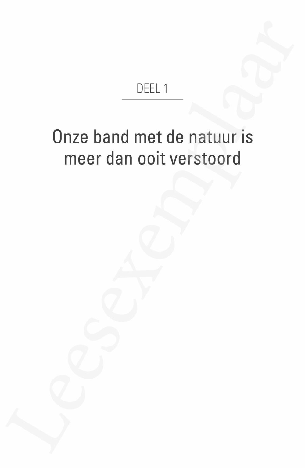 Preview: Oerritme