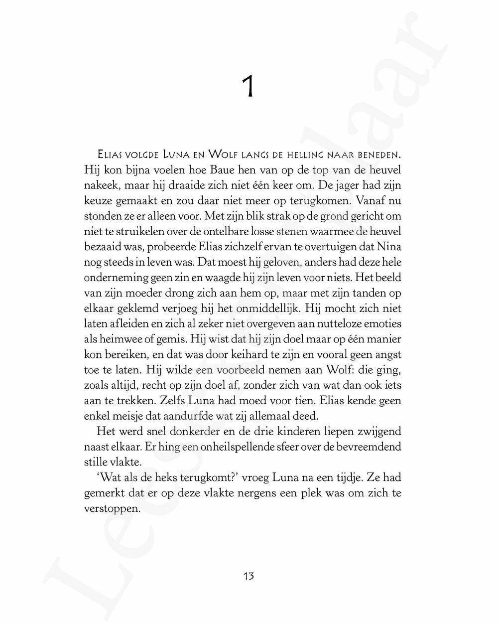 Preview: De poortwereld 4: De witte heks