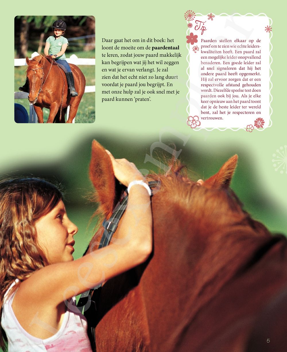 Preview: Hoe praat ik met mijn paard?