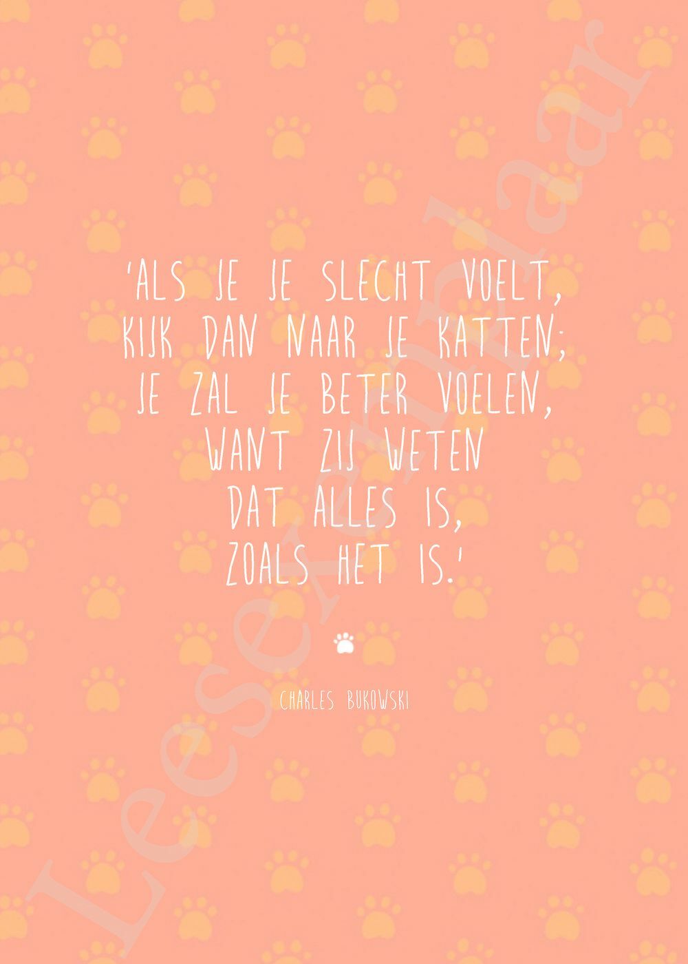 Preview: Crazy Cat Lady-boek