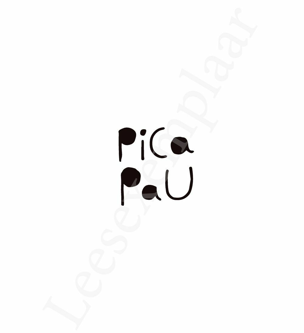 Preview: Pica Pau