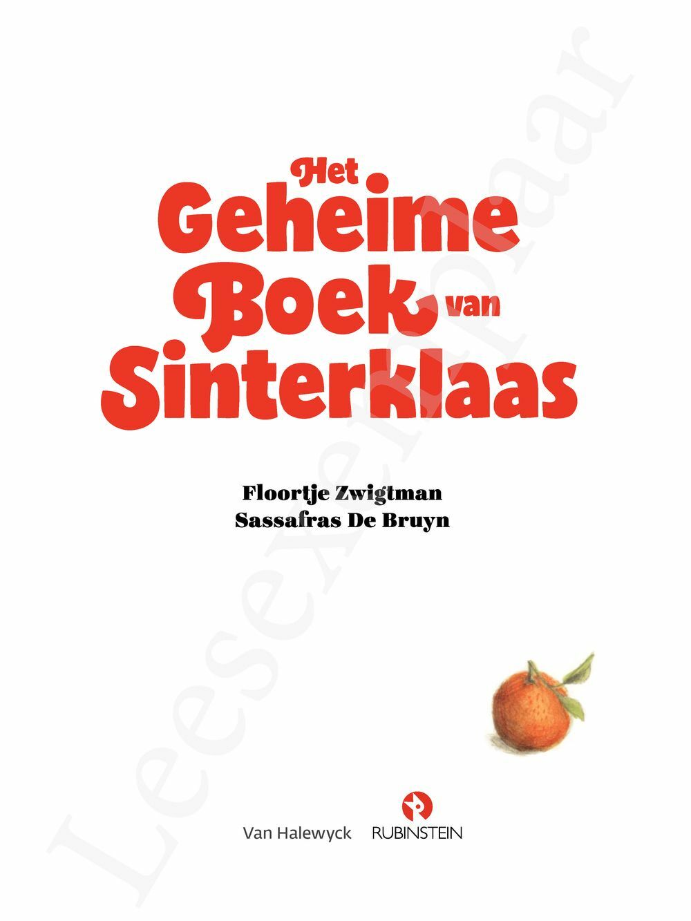 Preview: Het geheime boek van Sinterklaas