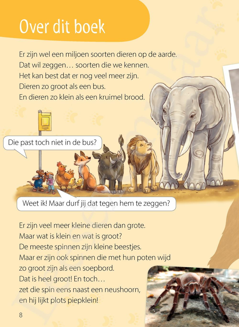 Preview: Groot of klein? Ik lees slim - weetjes over dieren