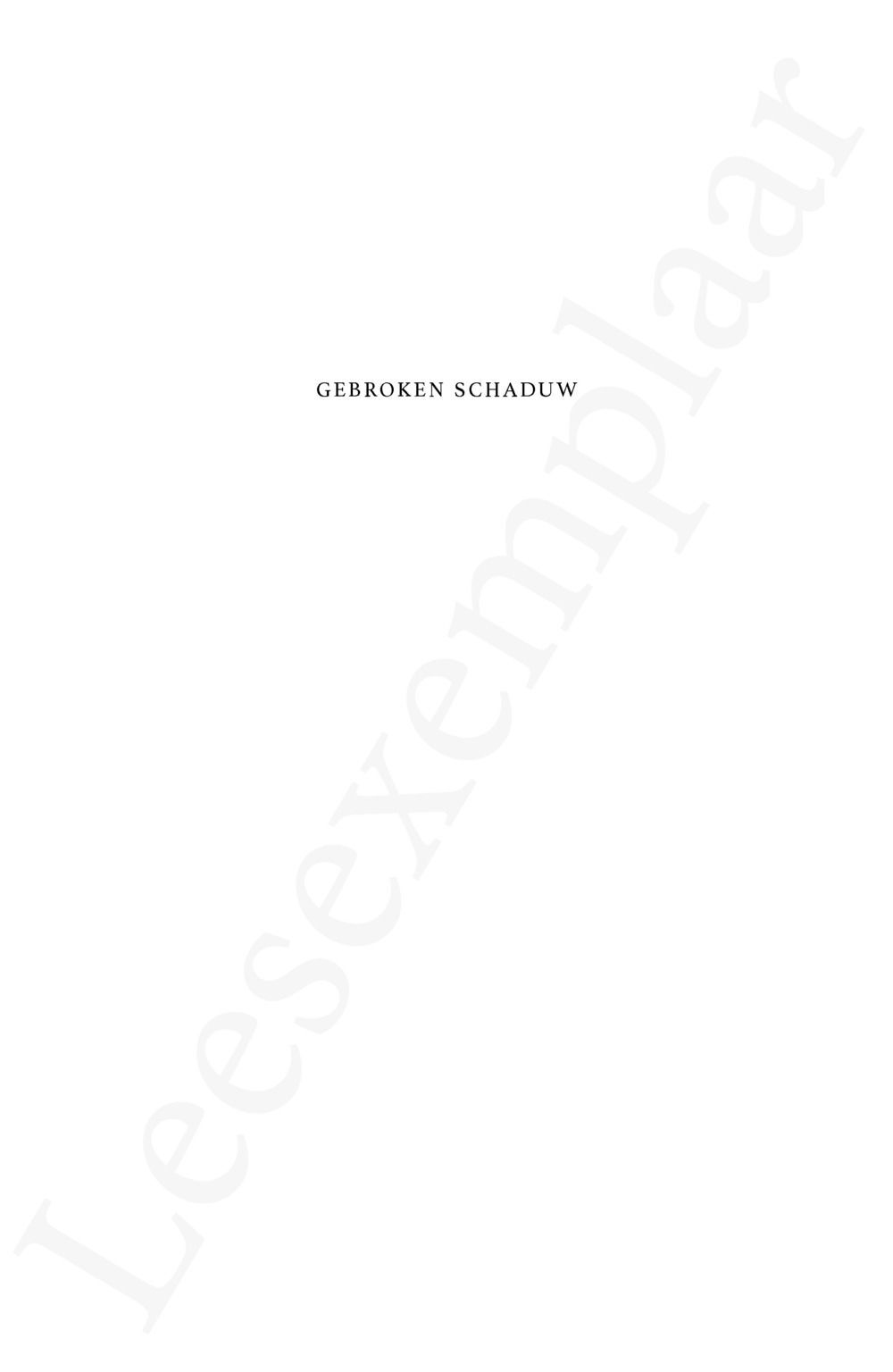 Preview: Gebroken schaduw