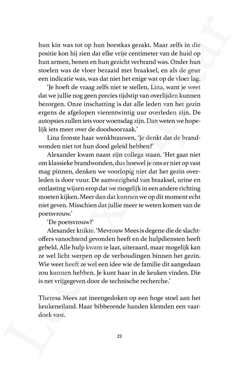 Preview: Gebroken schaduw