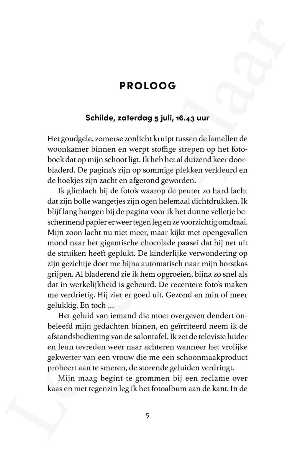 Preview: Gebroken schaduw