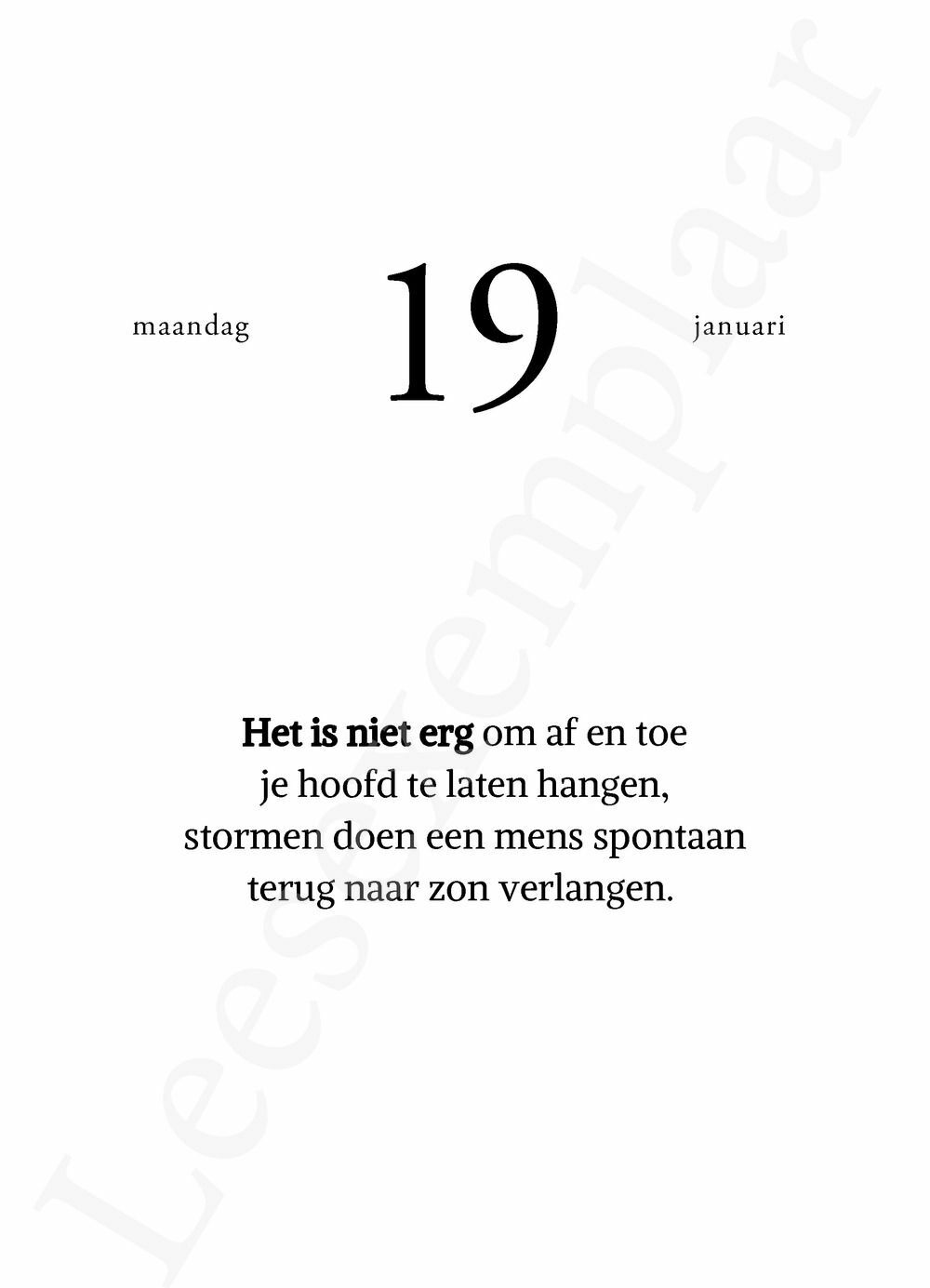 Preview: Een jaartjevol LIZ IS MORE 2026
