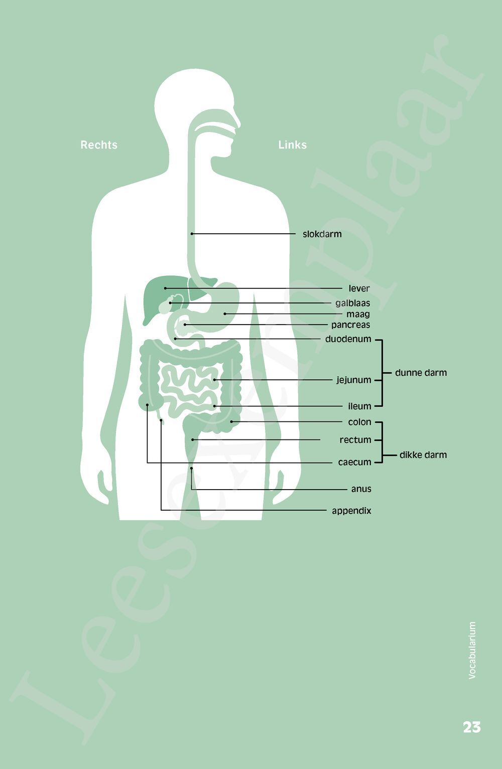Preview: Met de billen bloot
