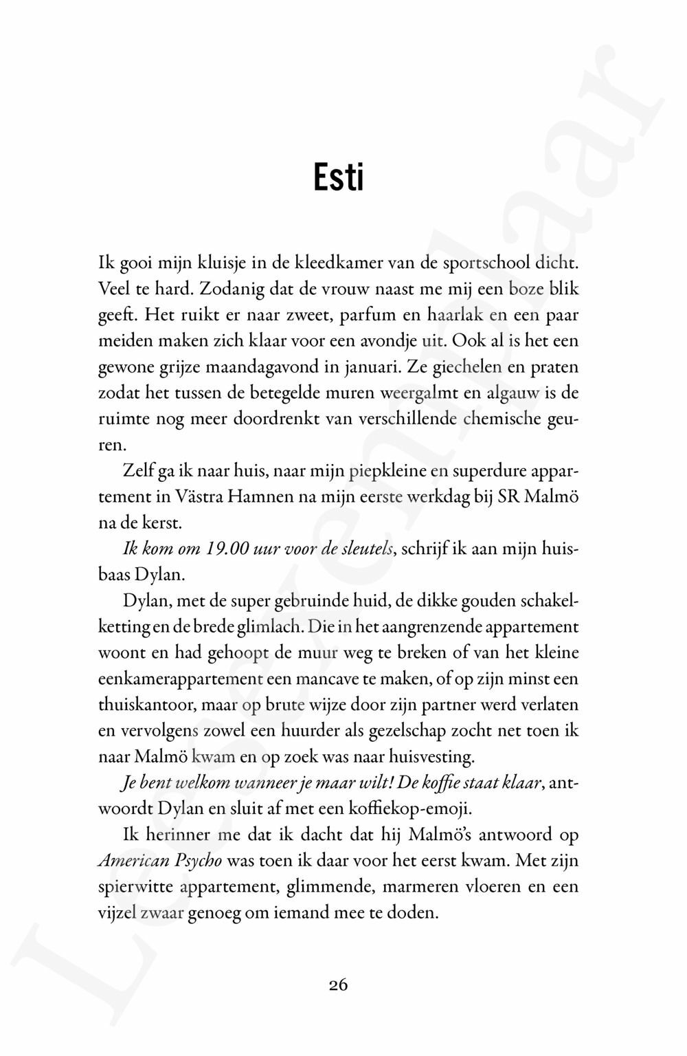 Preview: De Geluksbron (De radiohelden 2)