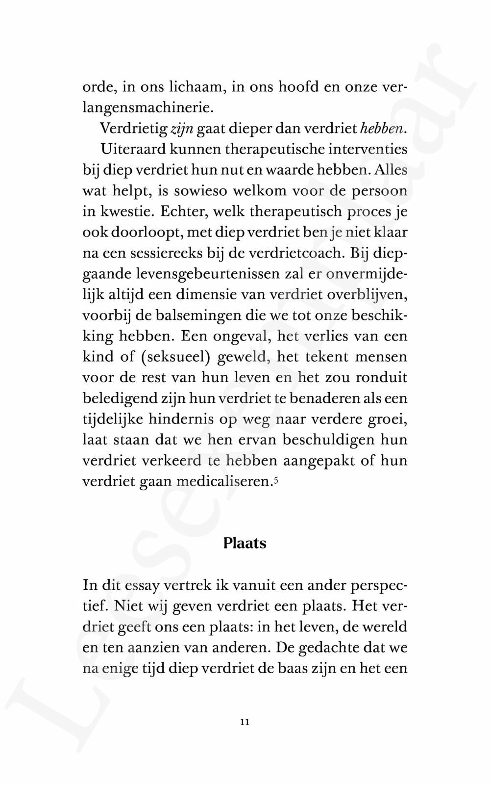 Preview: Een kleine filosofie van grote emoties: Verdriet