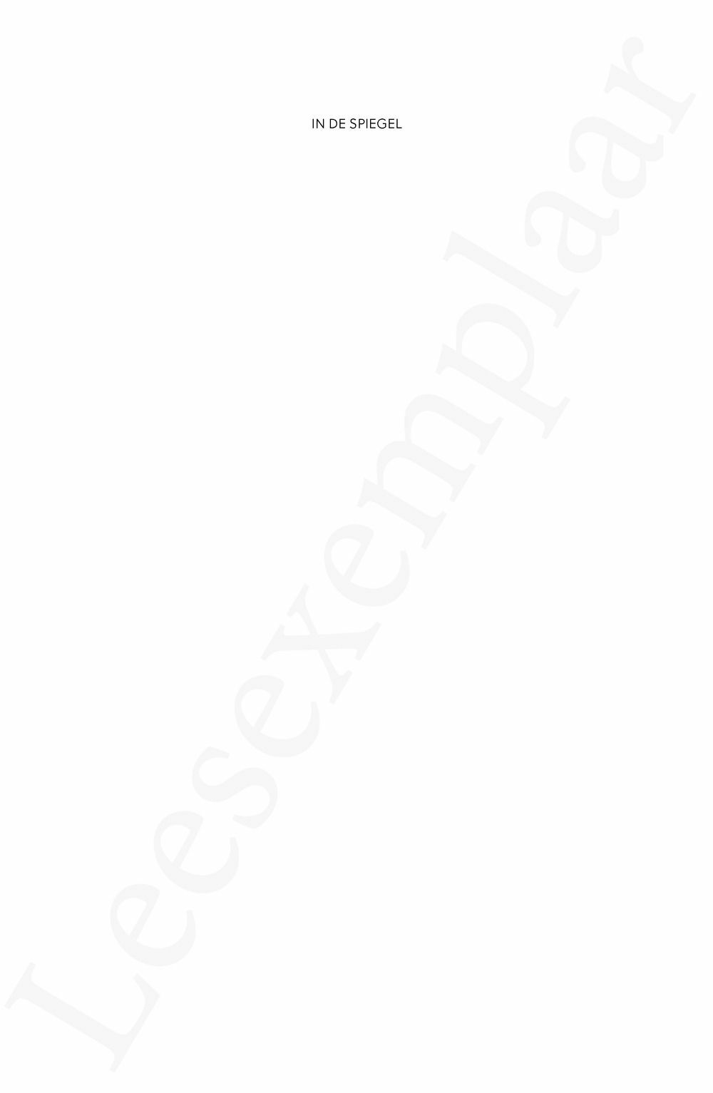Preview: In de spiegel