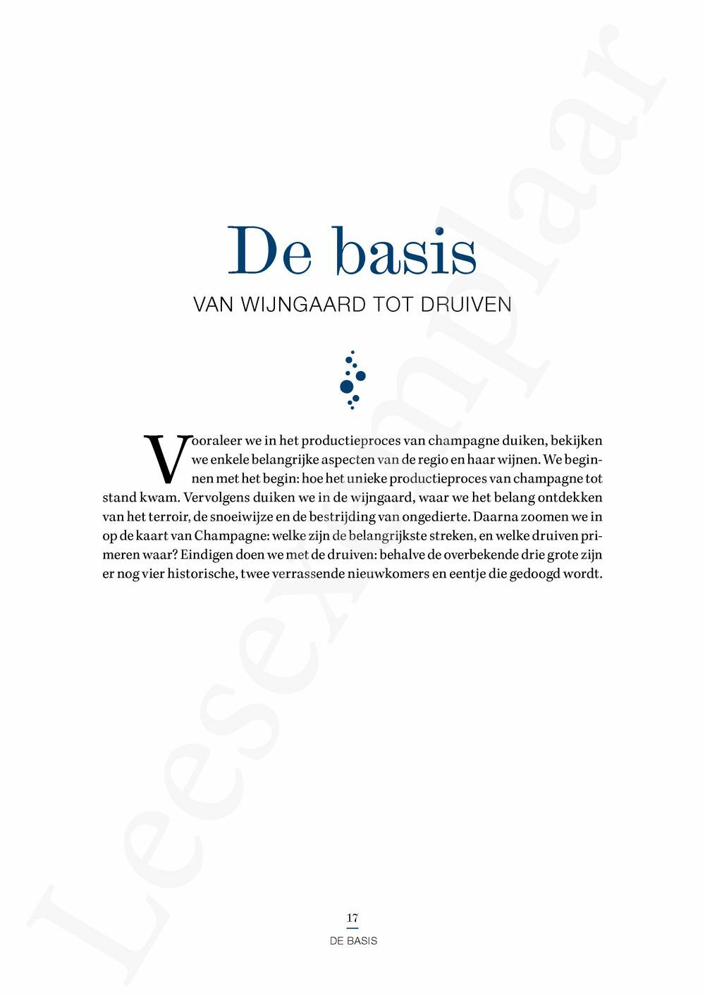 Preview: Champagne voor wijnkenners