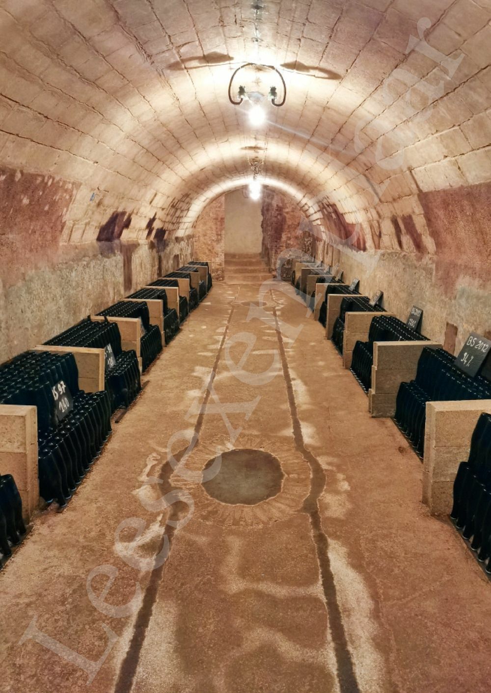 Preview: Champagne voor wijnkenners