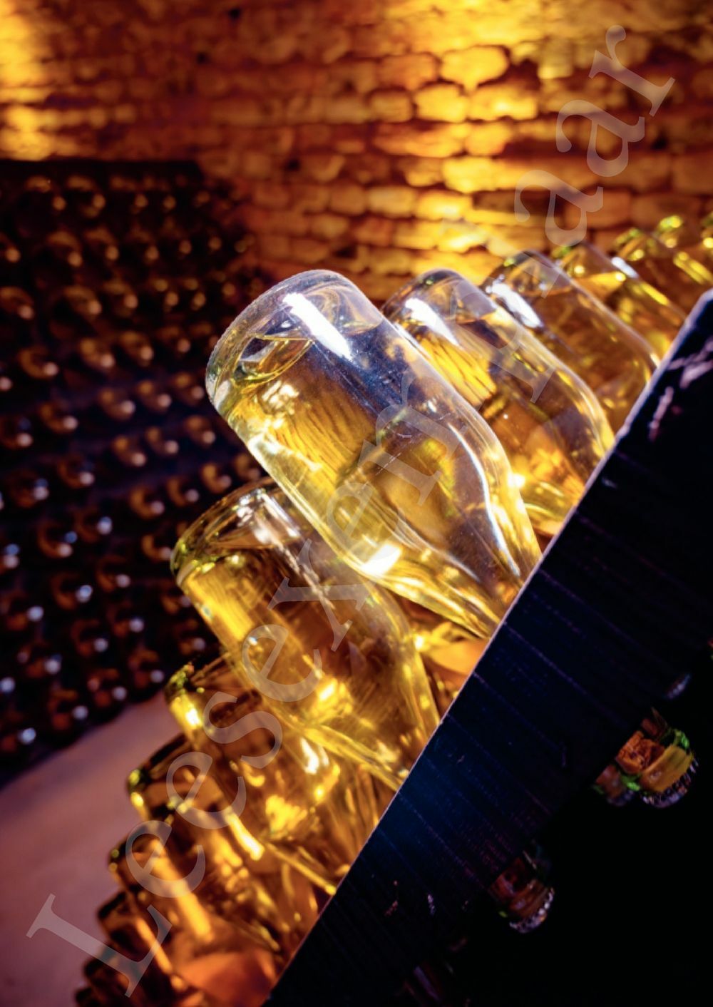 Preview: Champagne voor wijnkenners