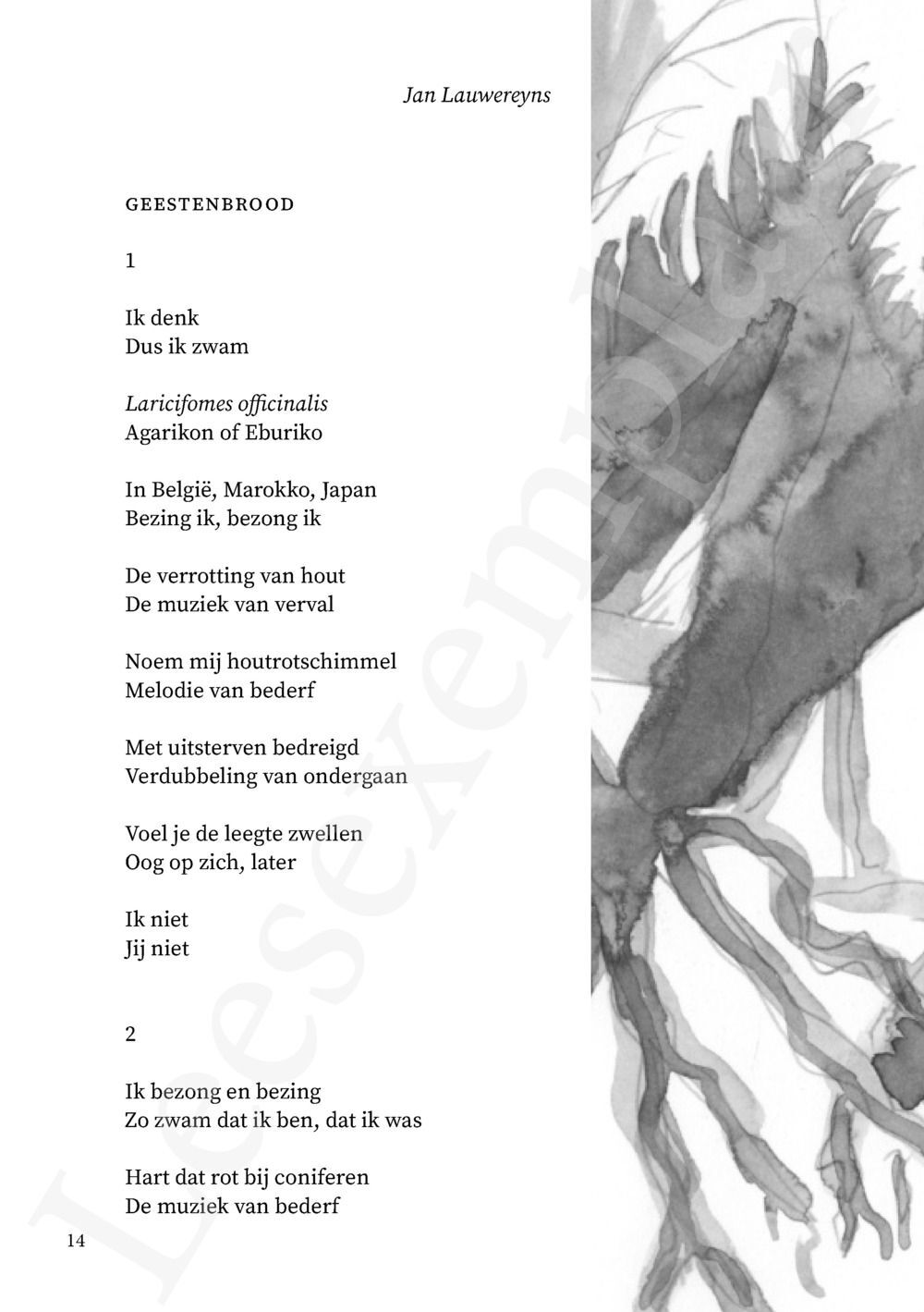 Preview: Tongval van het verdwijnen