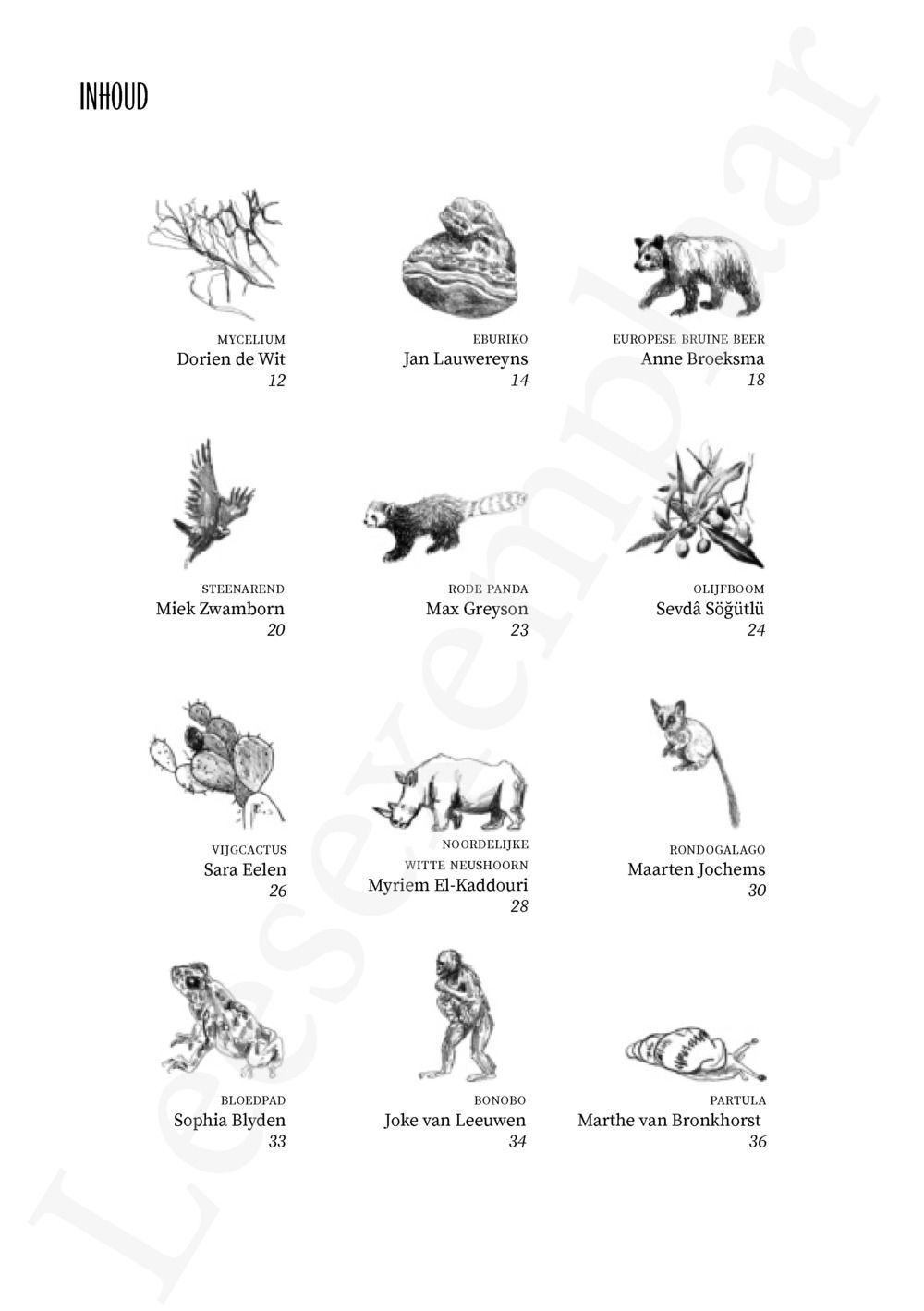 Preview: Tongval van het verdwijnen