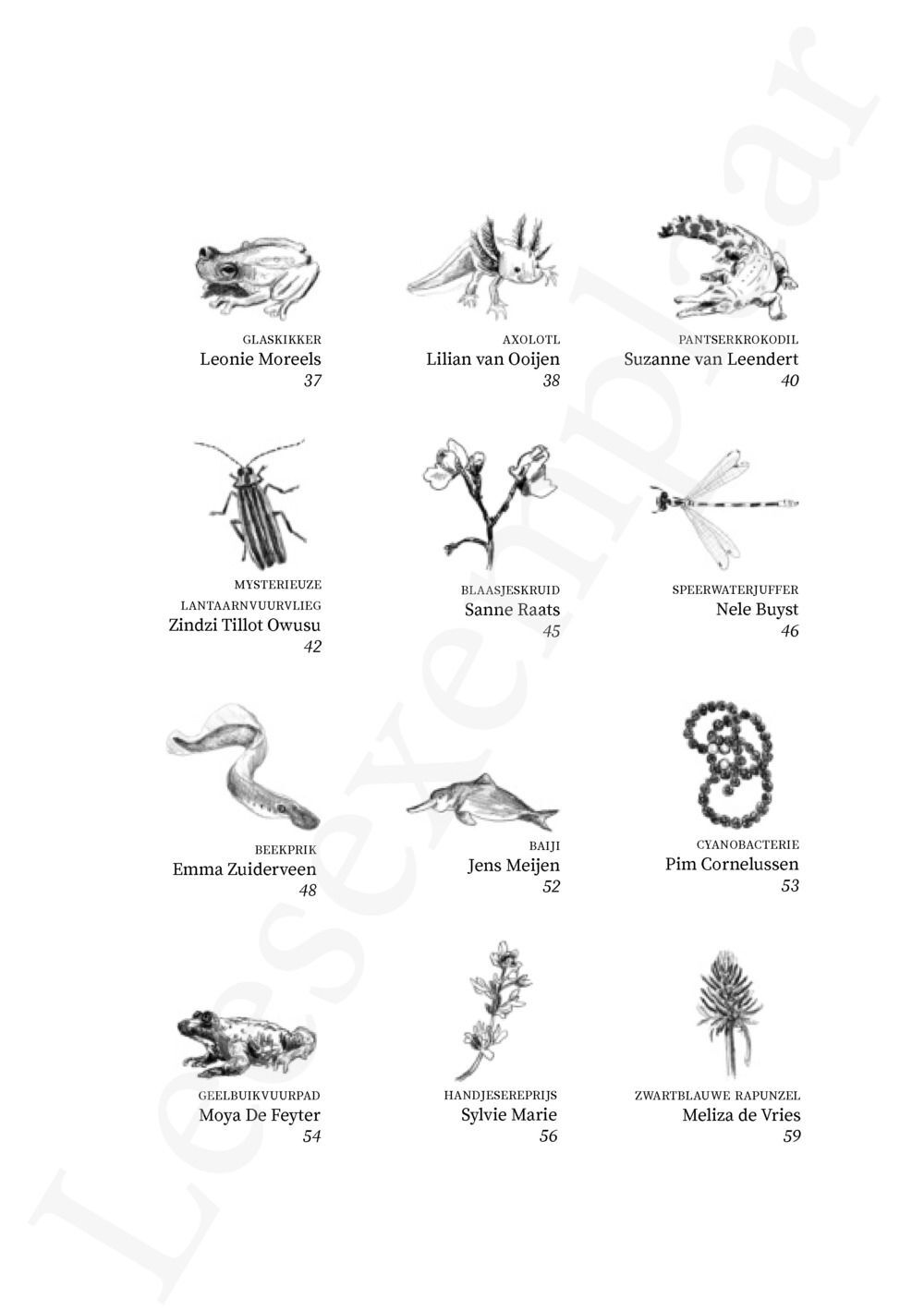 Preview: Tongval van het verdwijnen