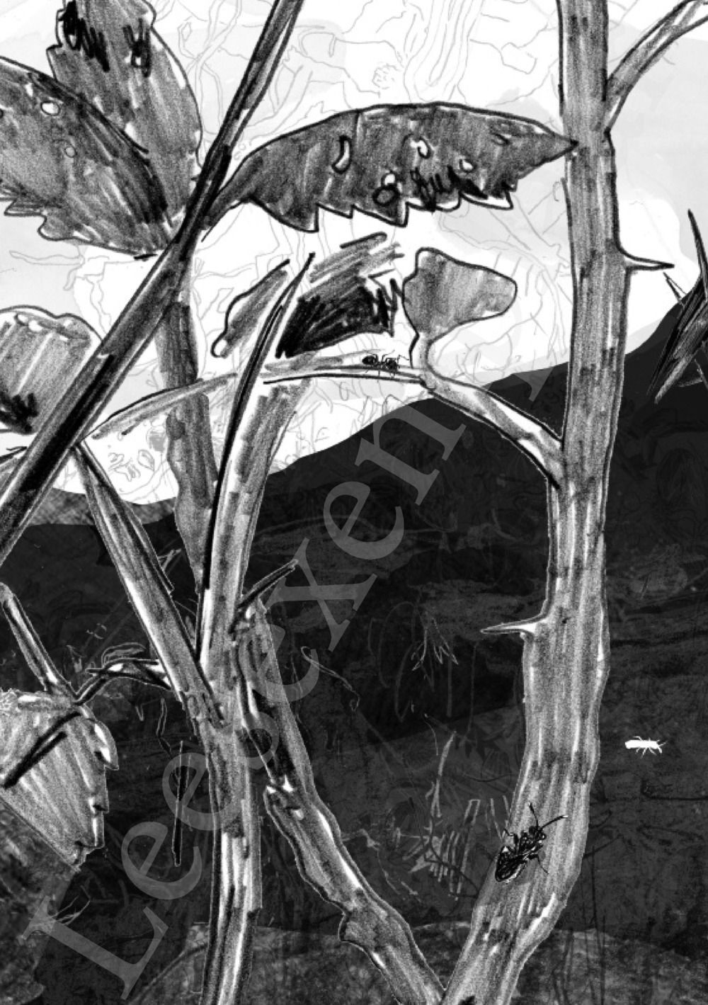 Preview: Tongval van het verdwijnen