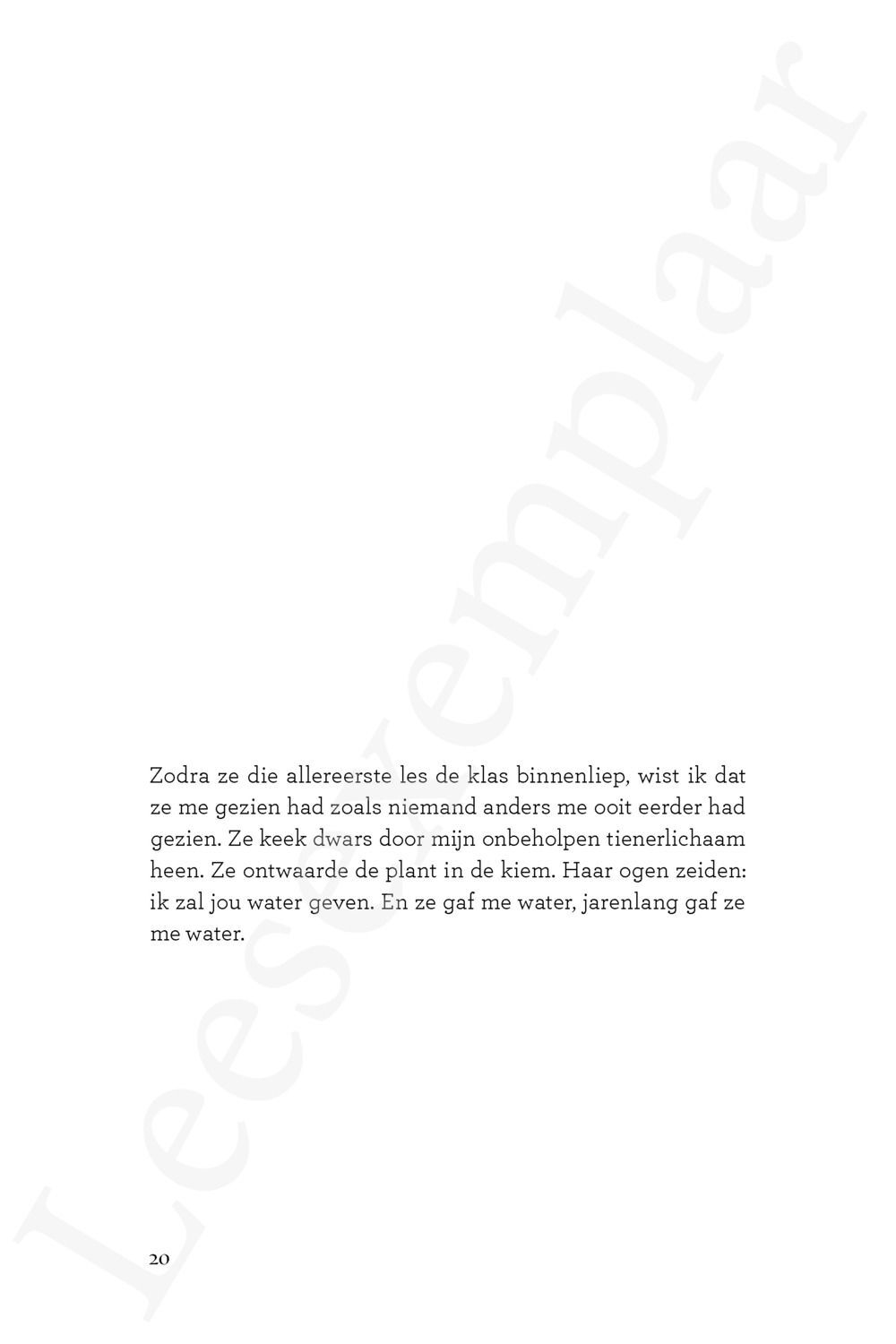 Preview: Soelaas