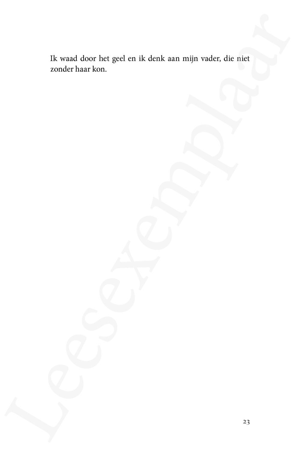 Preview: Soelaas
