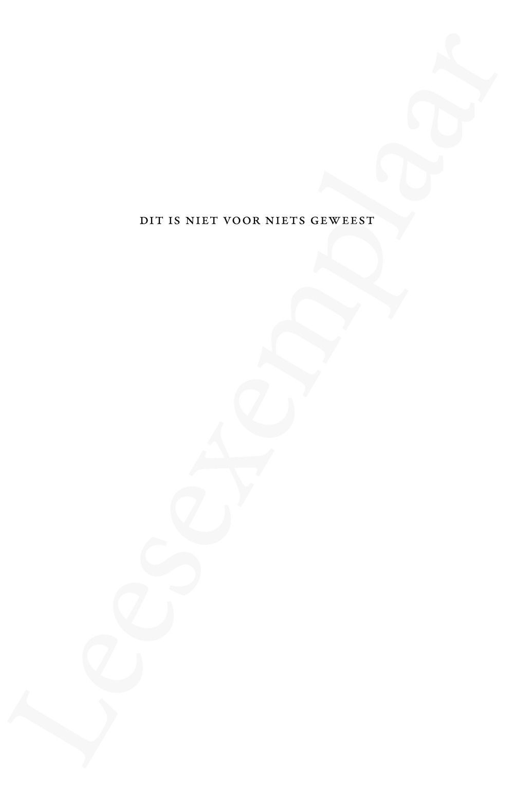 Preview: Dit is niet voor niets geweest