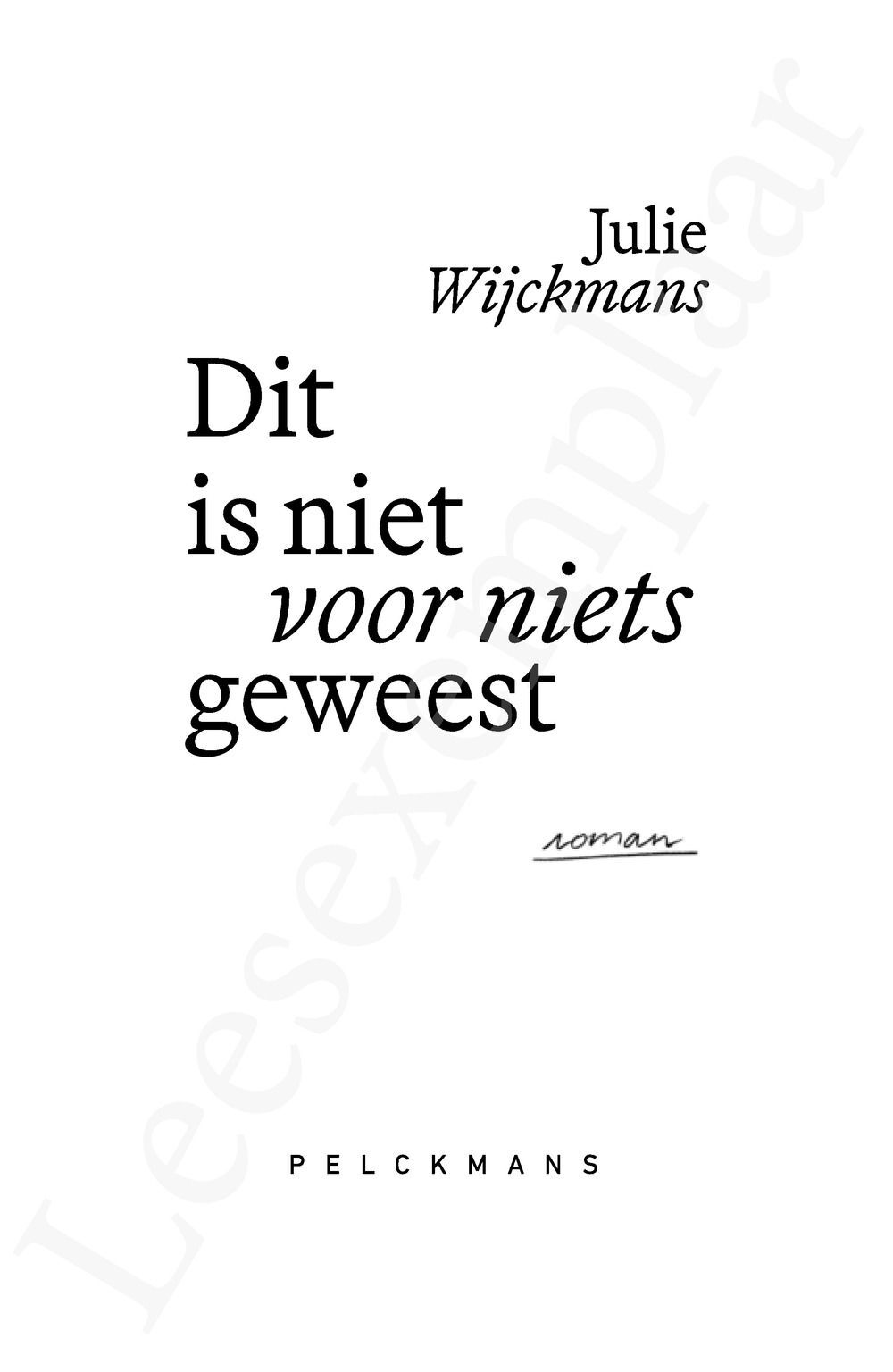 Preview: Dit is niet voor niets geweest