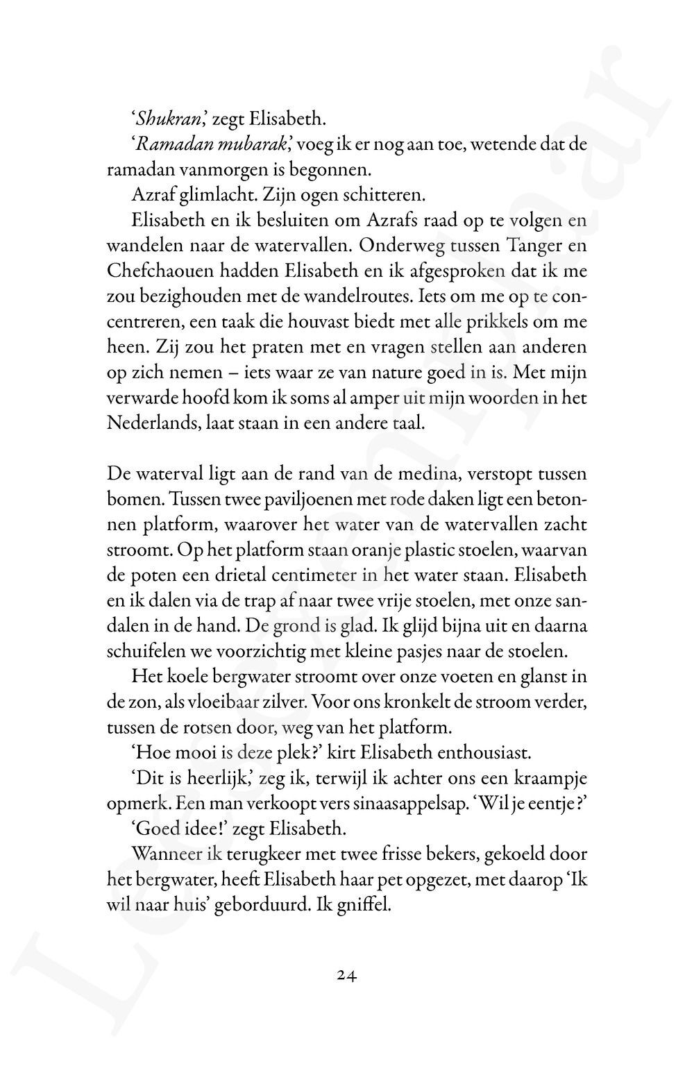 Preview: Dit is niet voor niets geweest