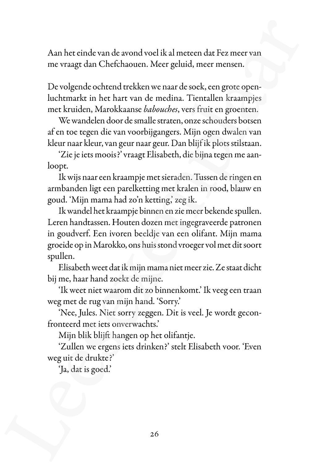 Preview: Dit is niet voor niets geweest