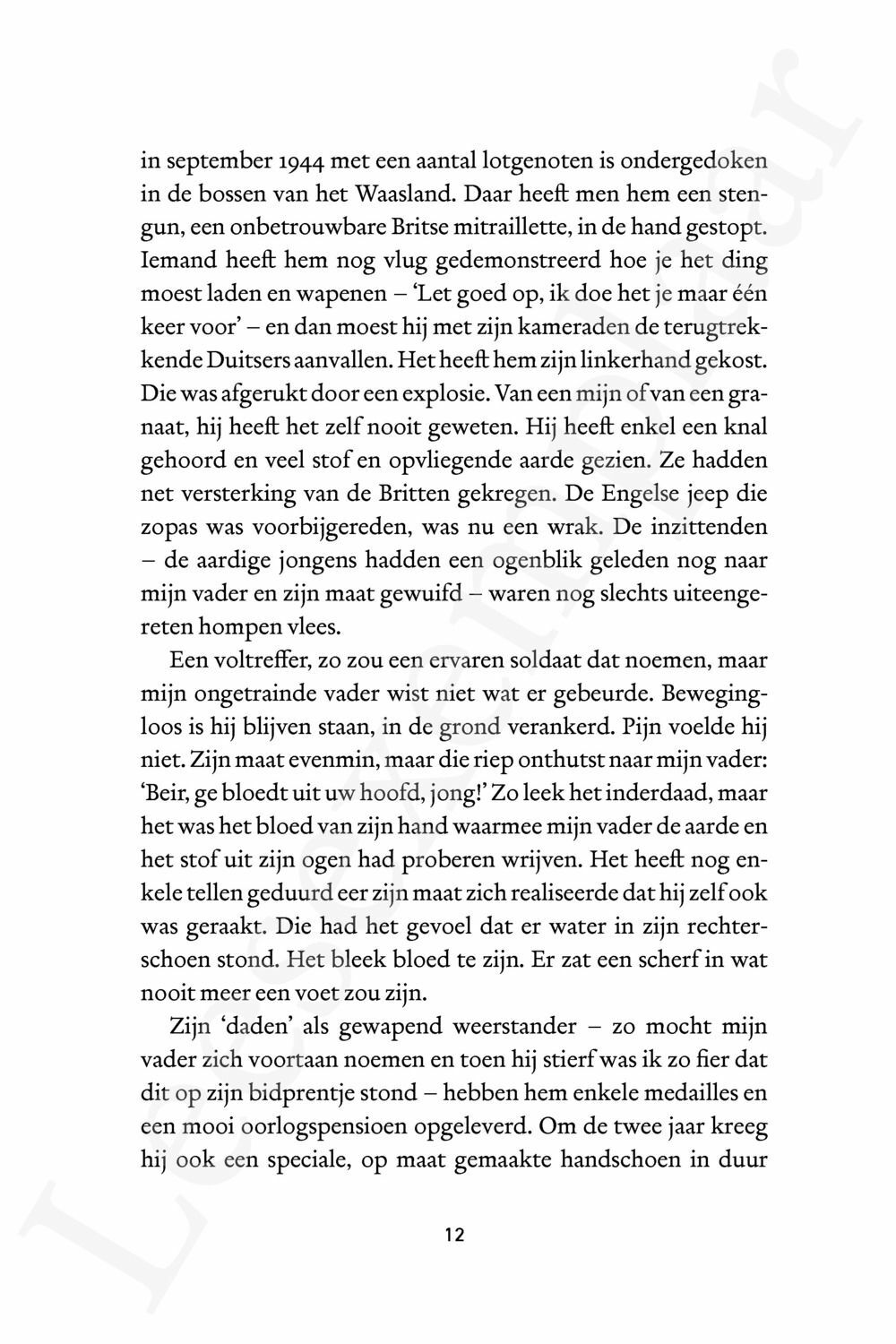Preview: Het verdriet van Rosemarie