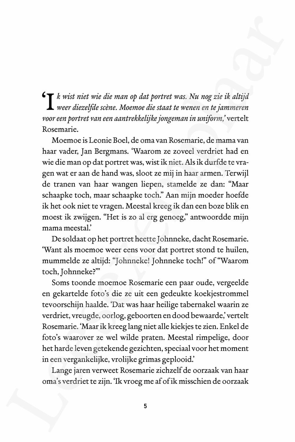Preview: Het verdriet van Rosemarie