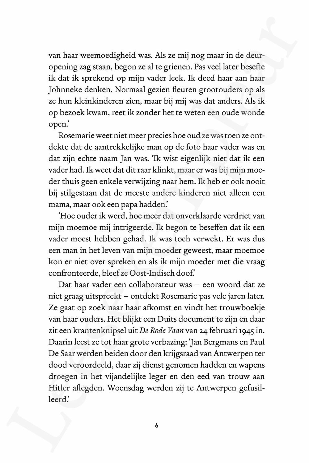 Preview: Het verdriet van Rosemarie