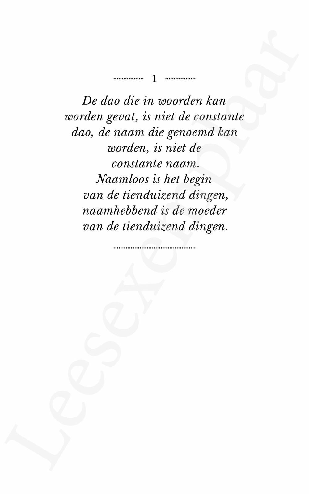 Preview: Wat kan ik leren van de taoïsten?
