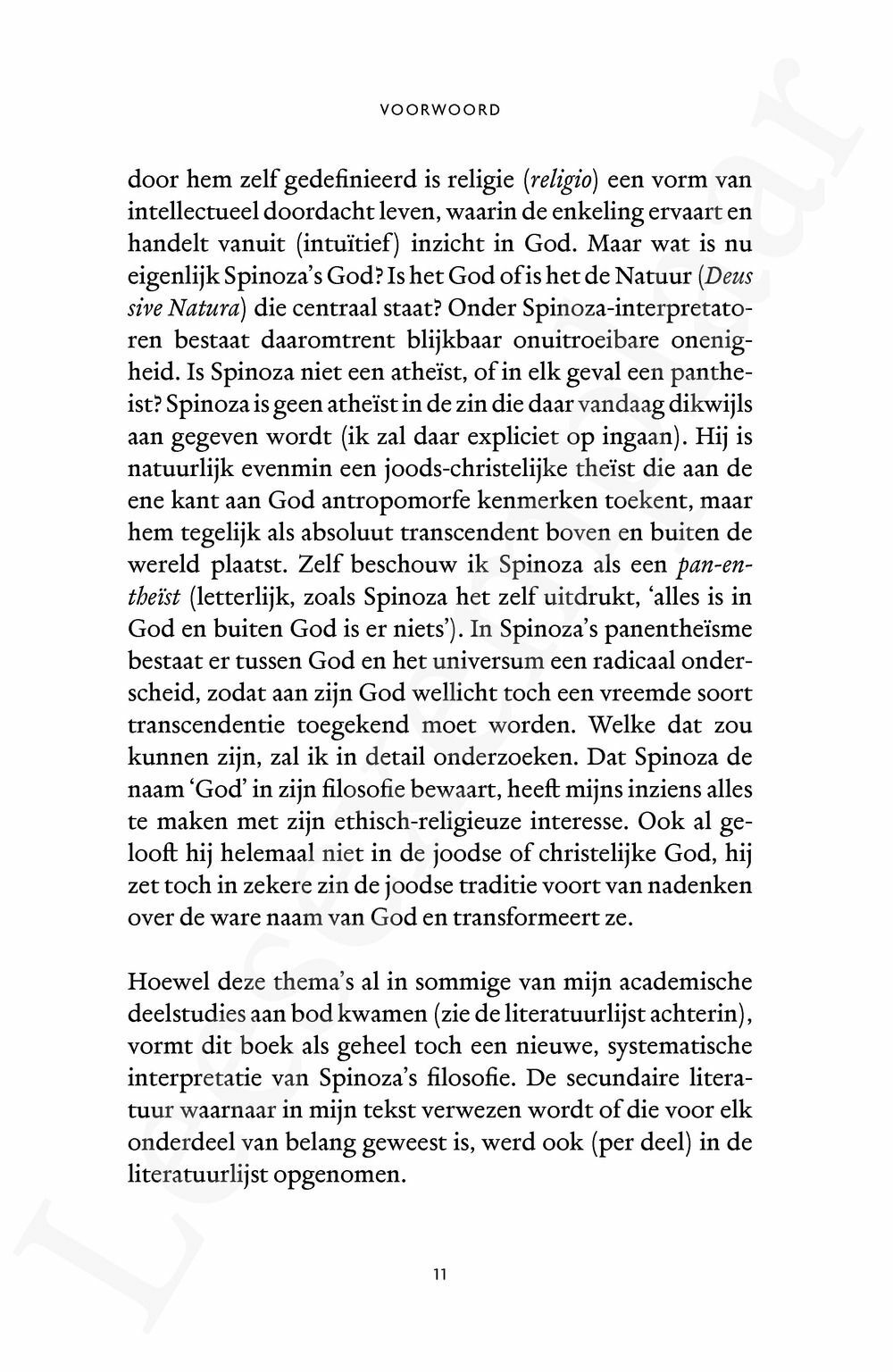 Preview: De andere Spinoza