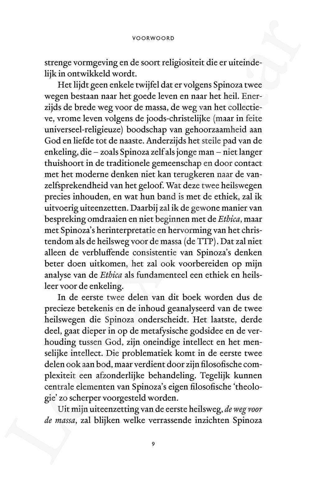 Preview: De andere Spinoza