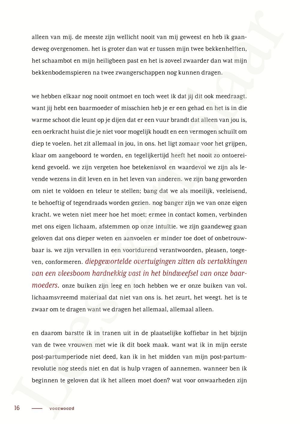 Preview: De post-partumrevolutie