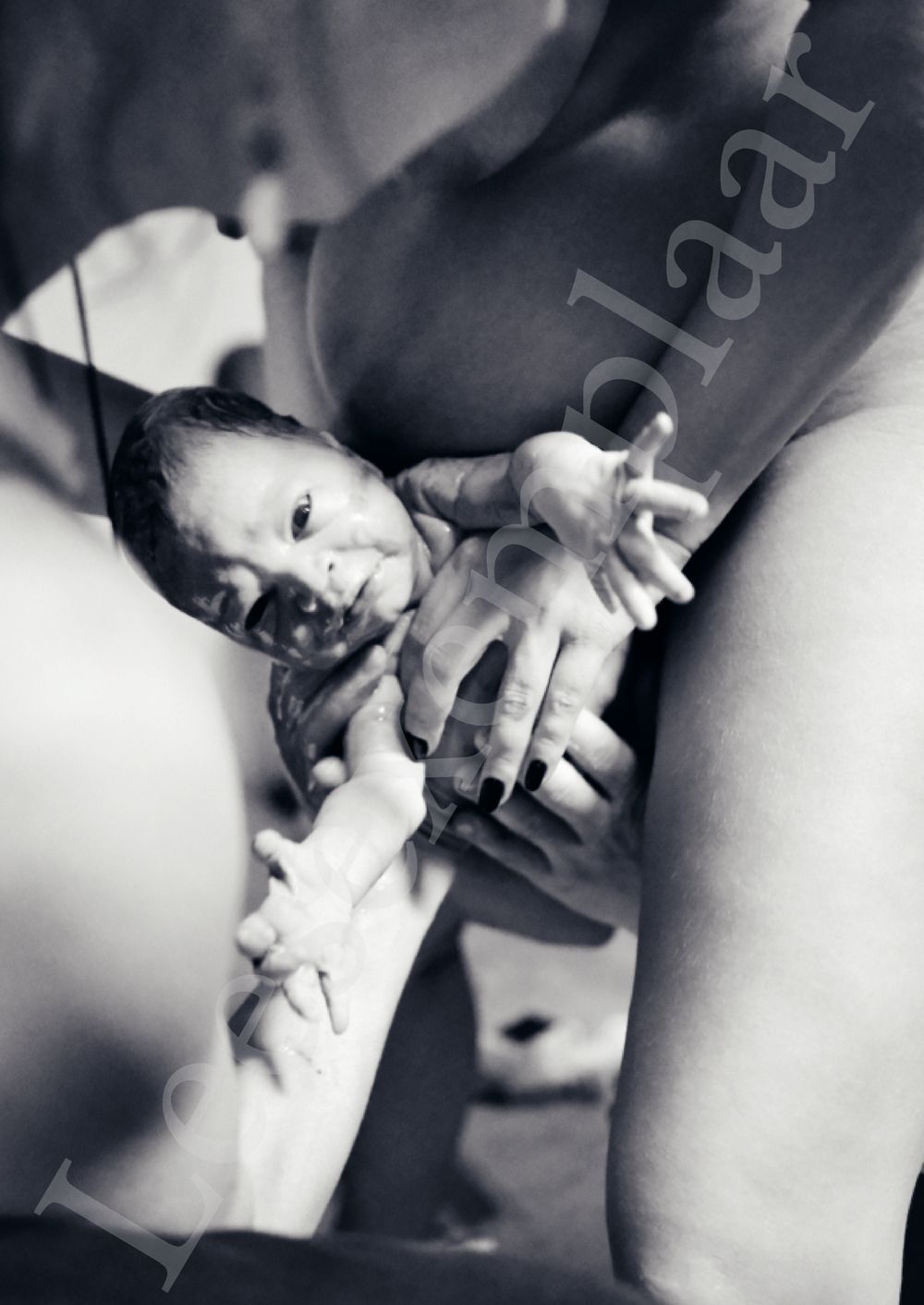 Preview: De post-partumrevolutie