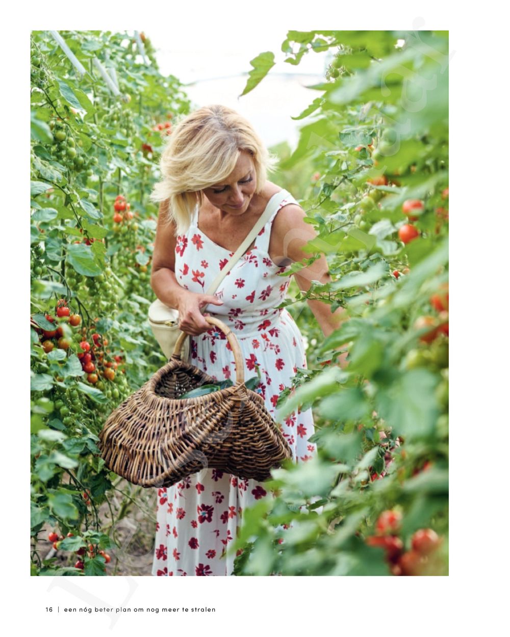 Preview: Tijd om te stralen