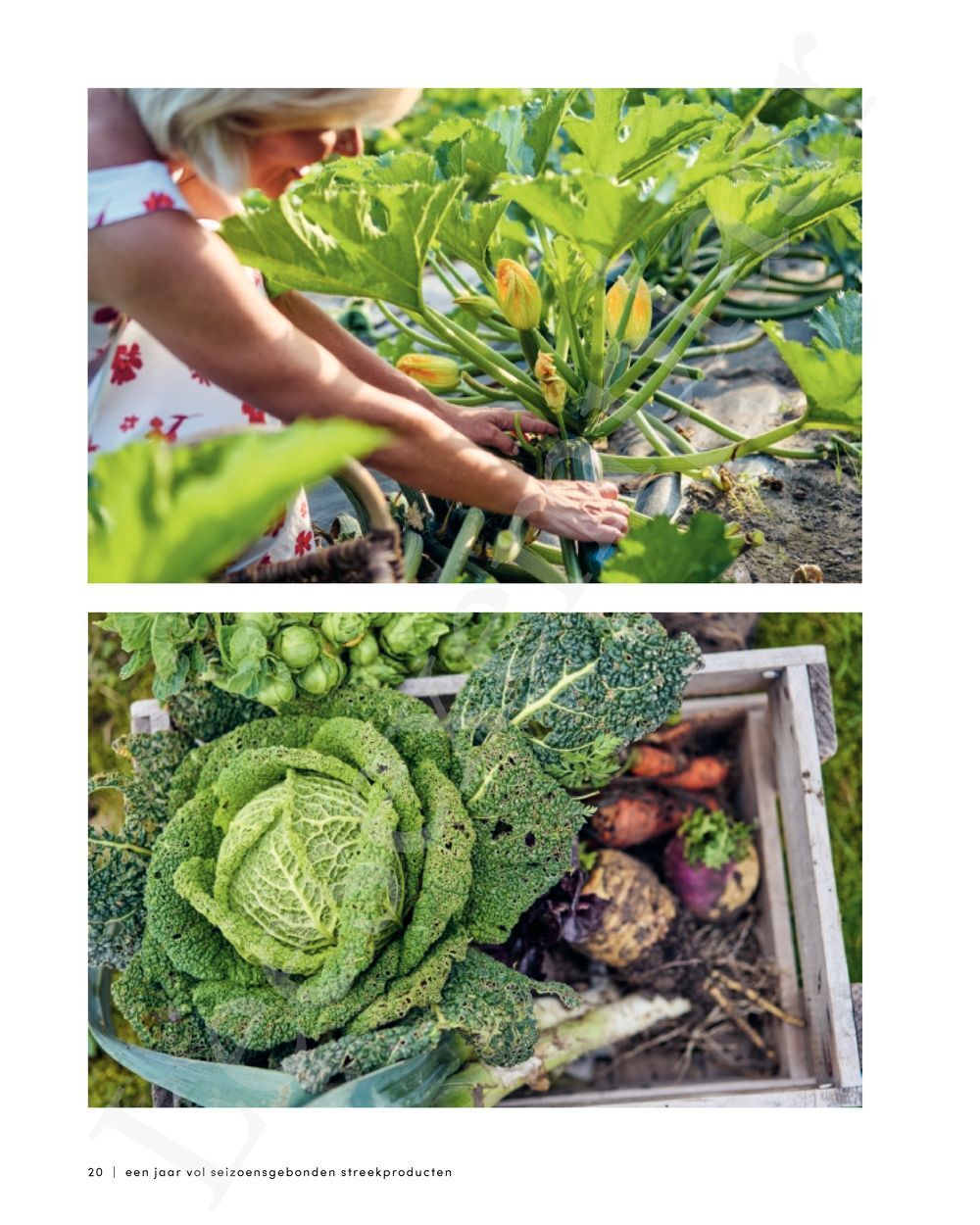 Preview: Tijd om te stralen