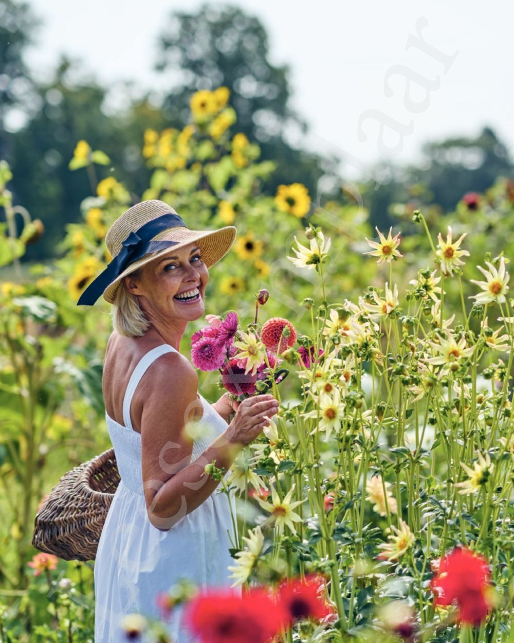 Preview: Tijd om te stralen