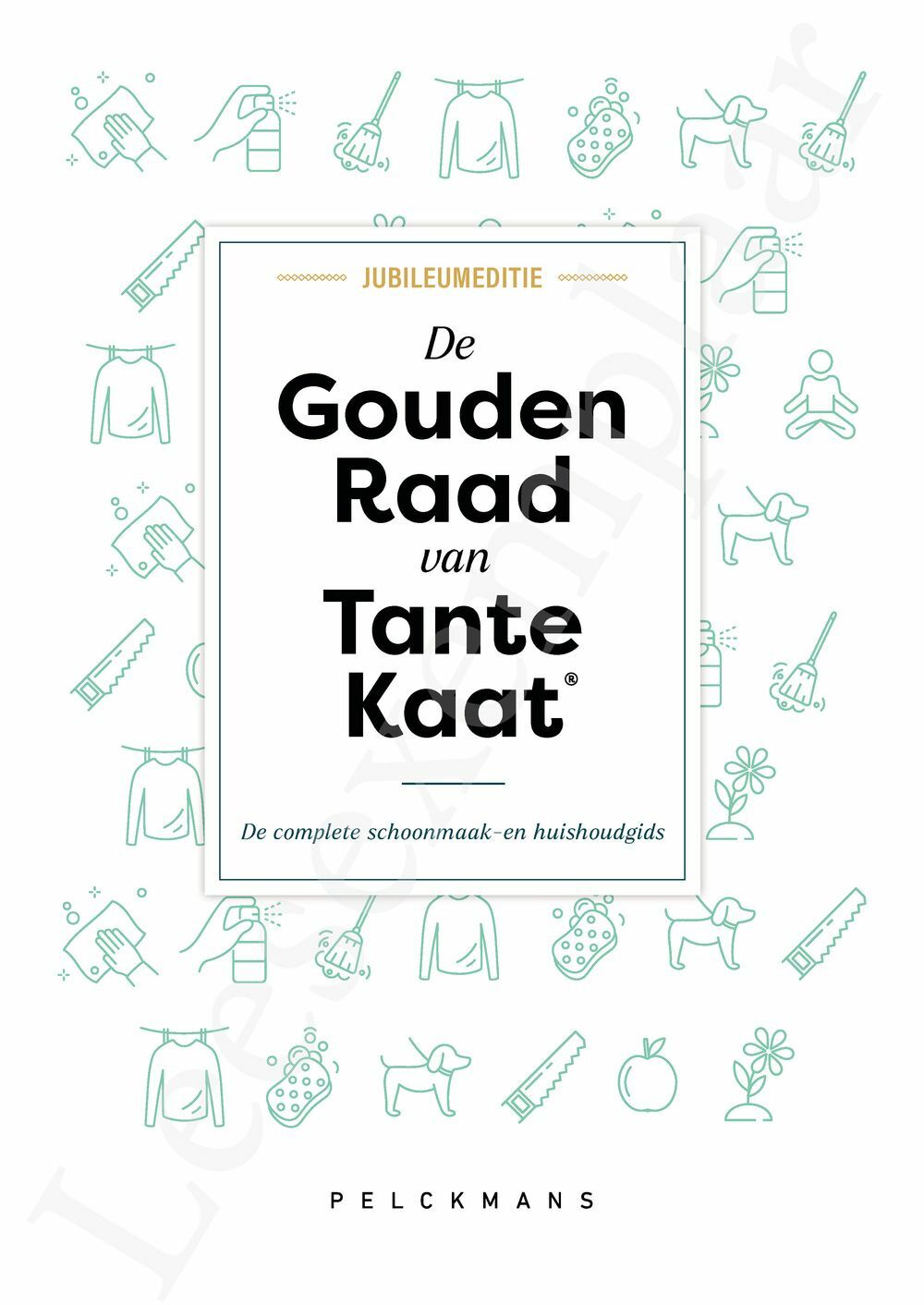 Preview: De Gouden Raad van Tante Kaat