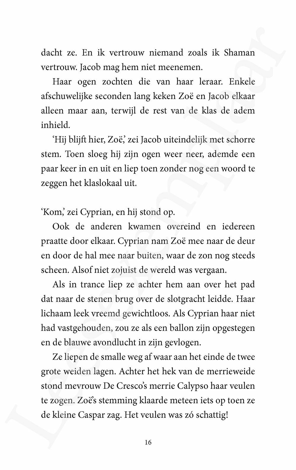 Preview: De Paardenfluisteraar 7 - De nieuwe leraar